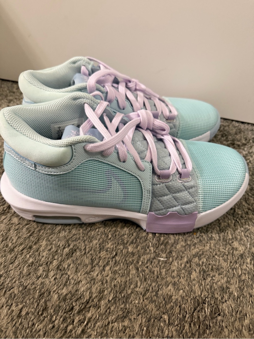 Nike Lebron Lightweight Mint and Lavender Athletic Shoes